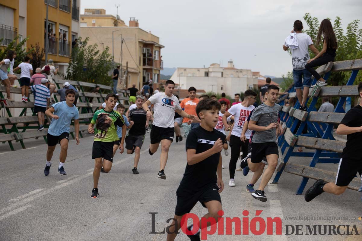 Chupinazo y encierro chico en Calasparra