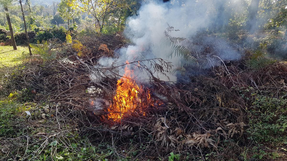 Quema de restos en una finca arousana.