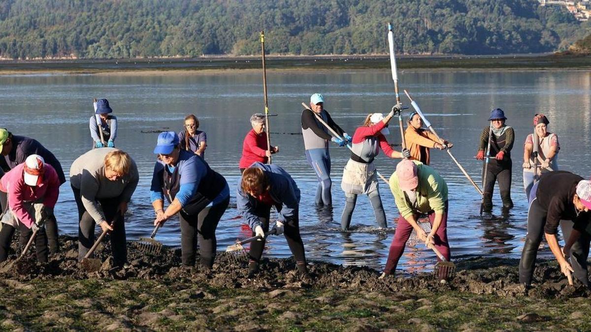 Mónica Sanmartín (en el centro, de rojo y con gorra) trabajando en la ría de Vigo junto a sus compañeras, mariscadoras todas de la Cofradía de Pescadores "Virgen del Carmen" de Arcade.