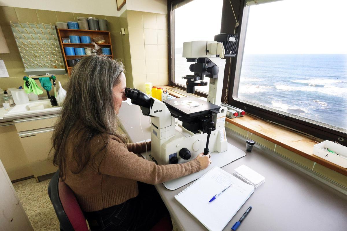 Laboratorio del Centro Oceanográfico de Vigo.