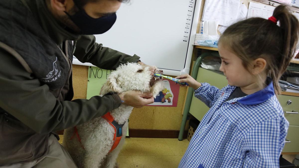 Los niños de los Pericones aprenden a lavarse los dientes en clase con perros