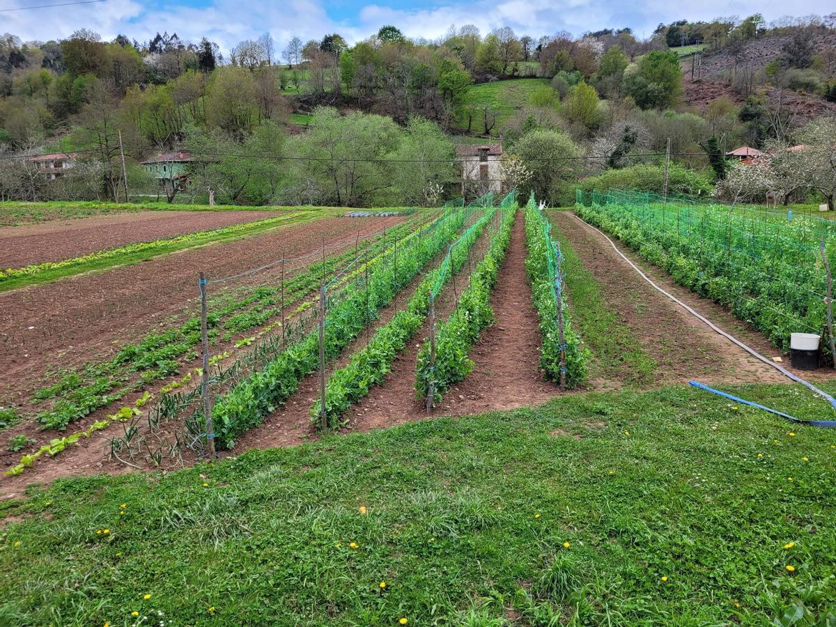Finca de Roberto Suárez