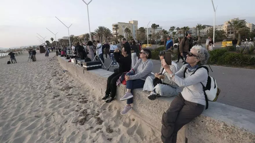 VÍDEO | Cort prepara un dispositivo de aforo "óptimo" de 75.000 personas en la Playa de Palma el día del eclipse en una zona con más de 100.000 personas entre residentes y turistas