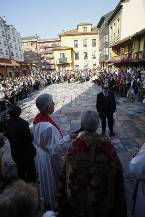 Domingo de Ramos en Avilés