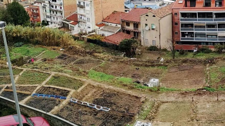 Al solar de la sentència hi ha horts urbans per a veïns del barri |