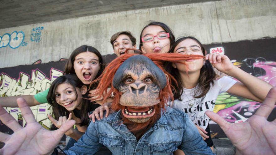 &#039;Furious Monkey House&#039; aterriza en Valencia