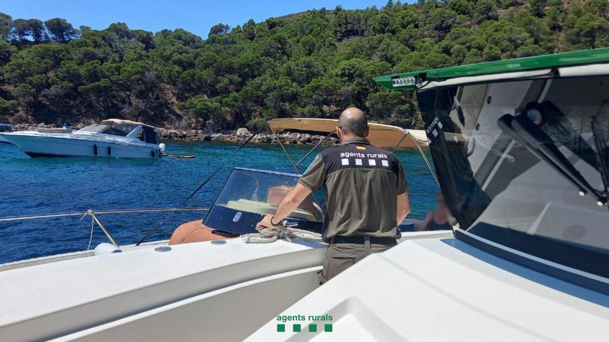 Els Agents Rurals durant la intervenció.