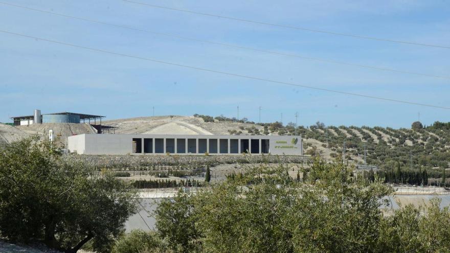 La cooperativa Guadalupe de Baena gana un tercer premio del concurso internacional de aceites del COI