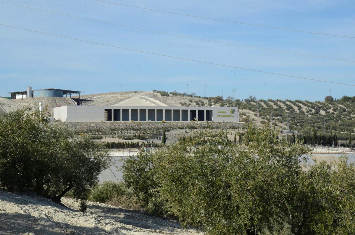 Instalaciones de la cooperativa Guadalupe de Baena, rodeadas de olivares.
