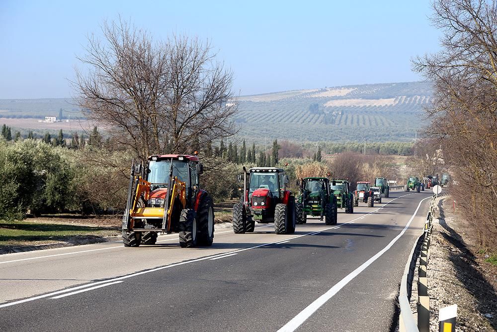 Los agricultores cortan la A-45