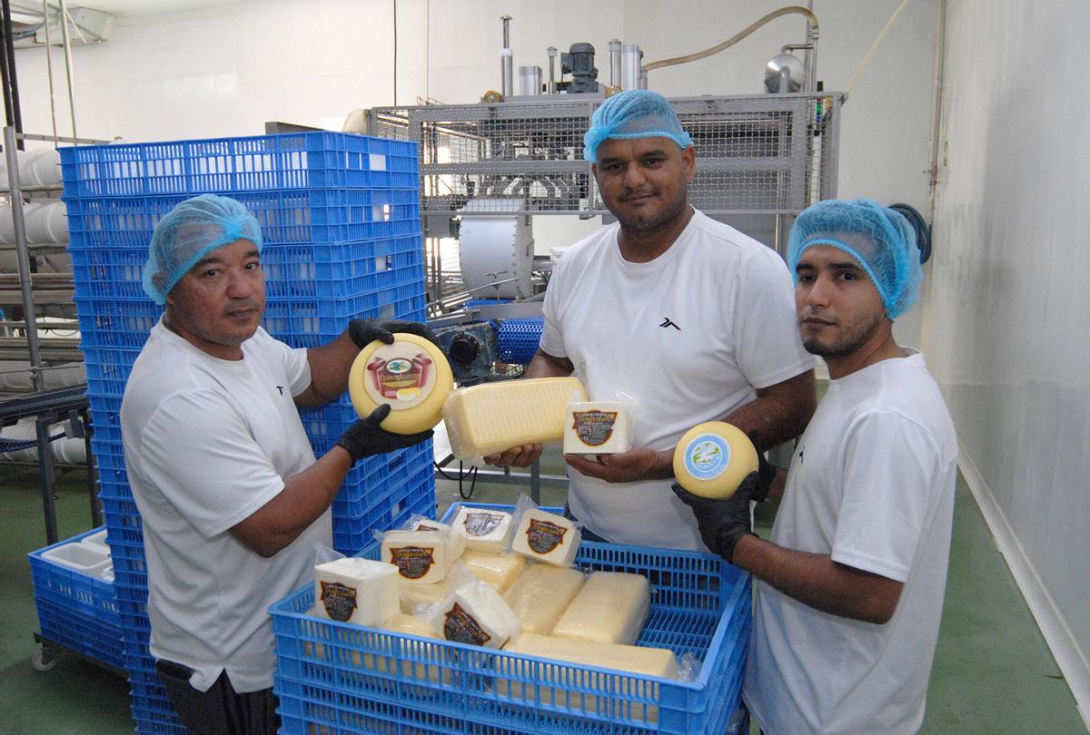 Los venezolanos Miguel García, Víctor Fernández yJosé Mejía en su quesería de Deli Llano en Forcarei.