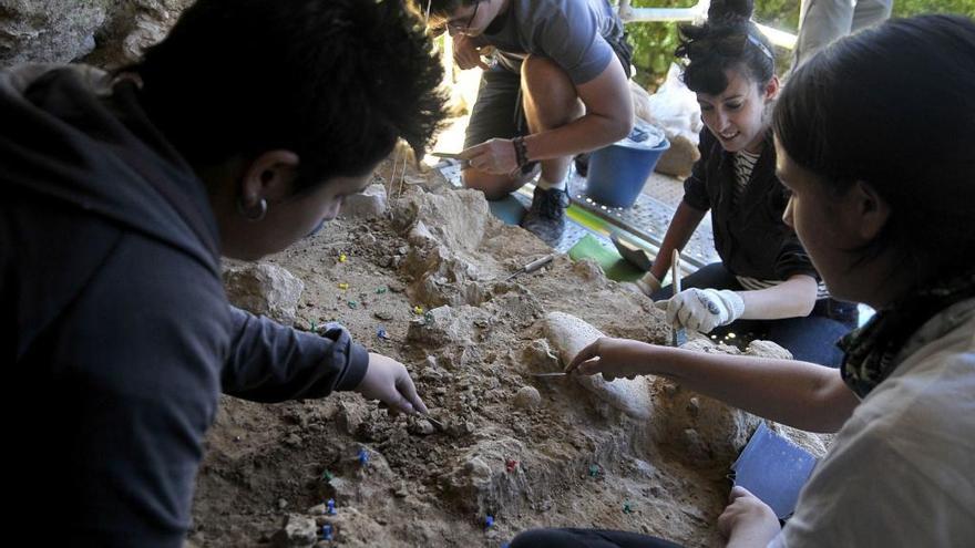 Varias personas trabajan en las excavaciones de Abrigo del Molino.