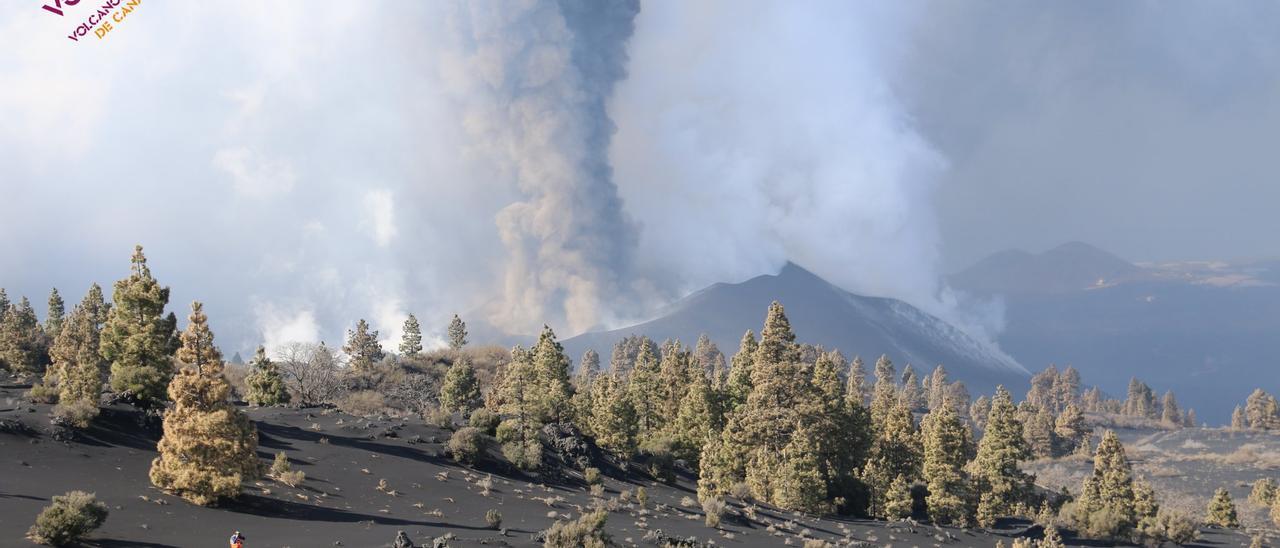 El volcán de La Palma expulsa gases y cenizas