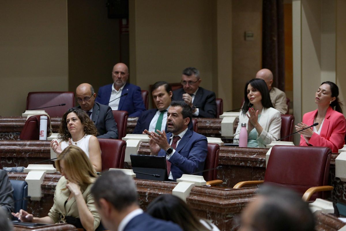 Los diputados del Grupo Parlamentario Vox aplauden en un momento de la intervención de Antelo.