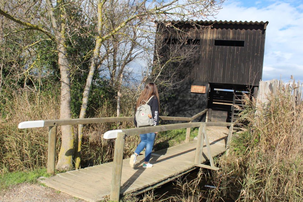 Els Aiguamolls de l''Empordà fan honor al seu nom