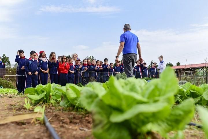 Visita escolar a la Granja Agricola del Cabildo