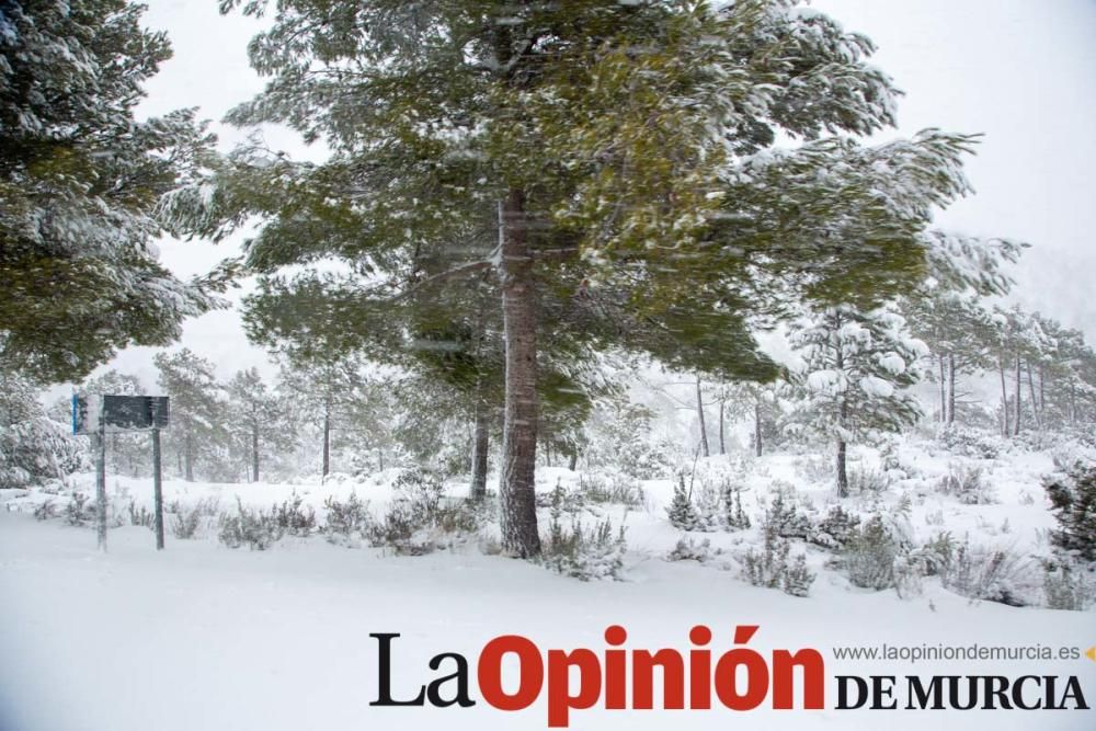 La nieve cubre de blanco el Campo de San Juan