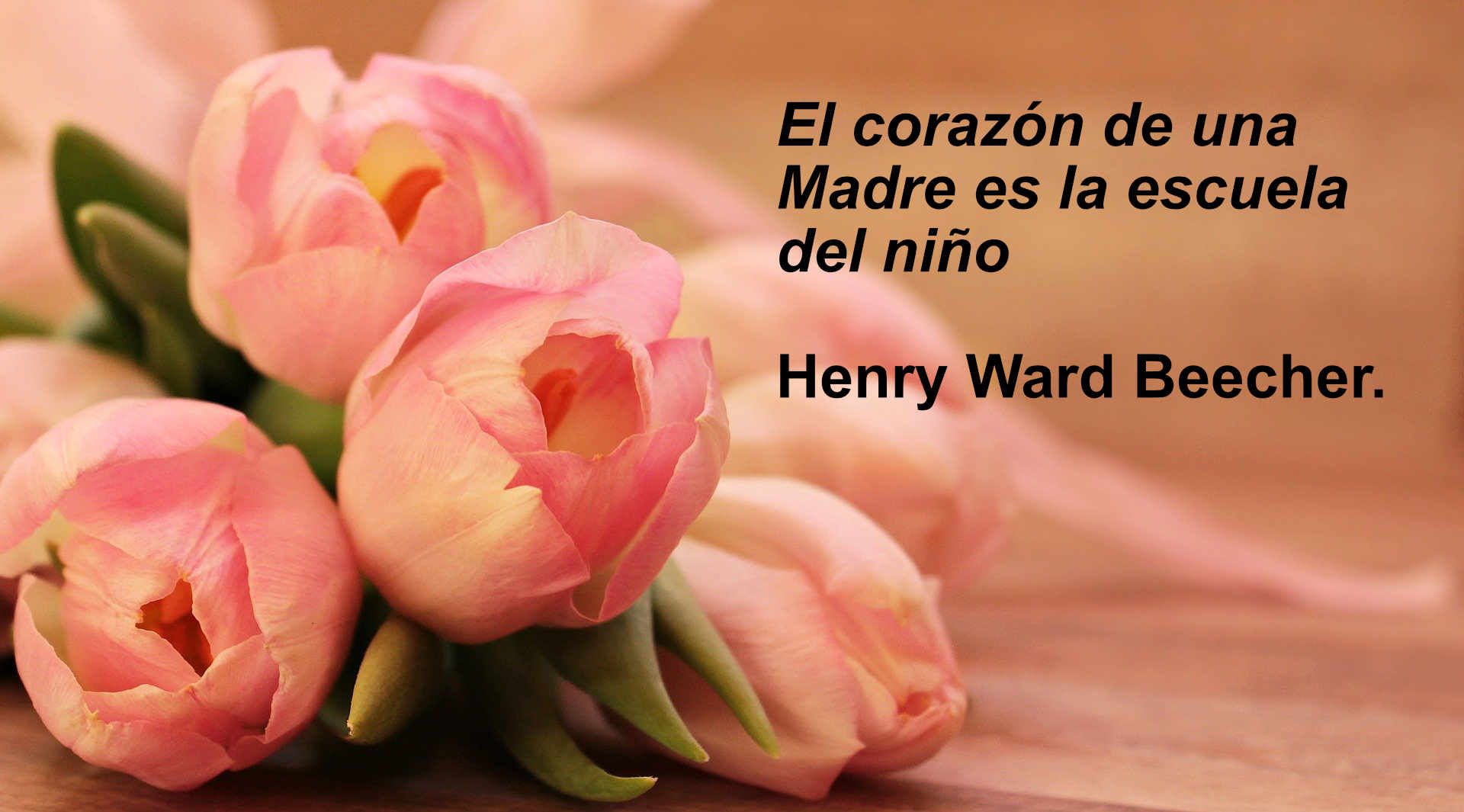 frases-dia-madre-14.jpg