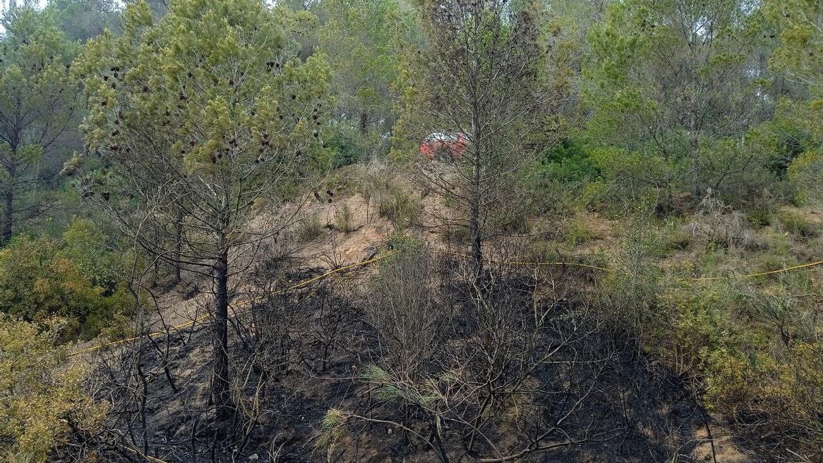 Imatge de l&#039;afectació que ha tingut l&#039;incendi de Sant Esteve Sesrovires