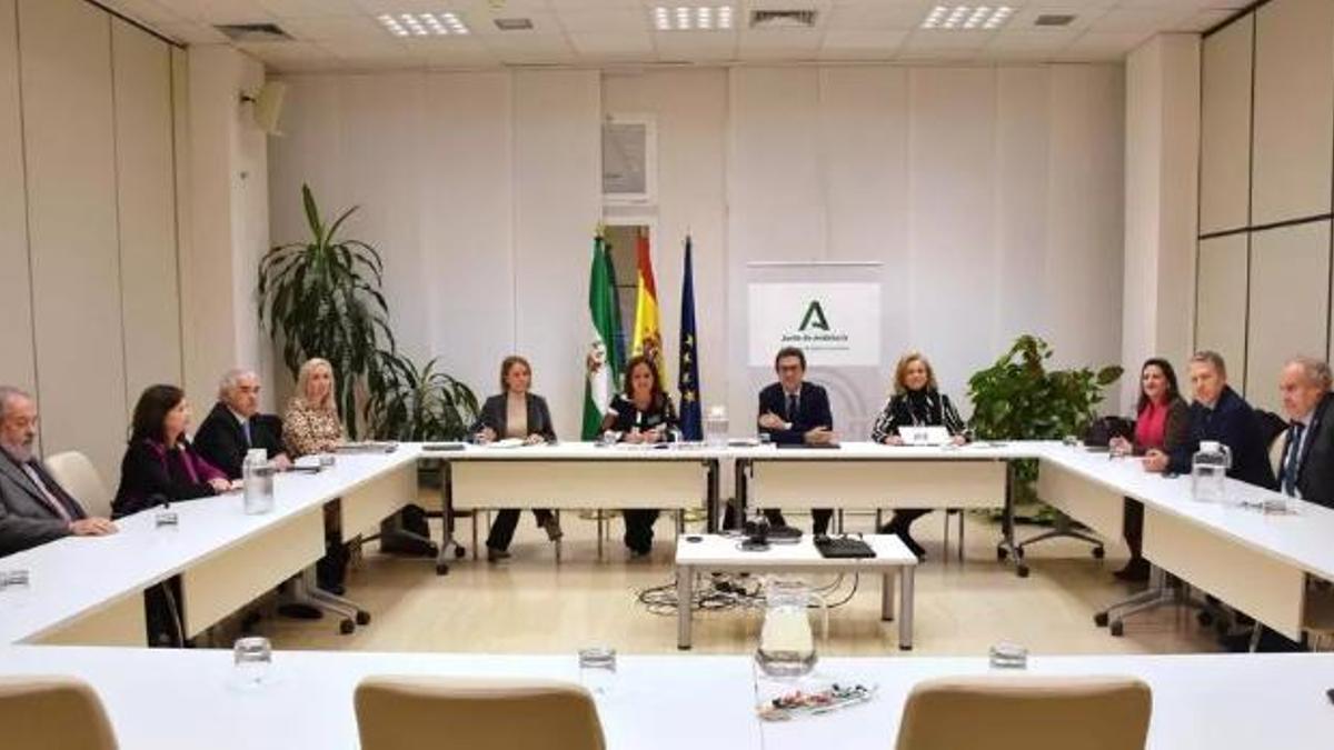 Reunión de la consejera de Salud y Consumo de la Junta, Catalina García, con el Consejo Andaluz de Colegios de Médicos