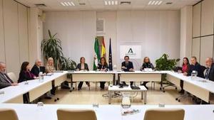 Reunión de la consejera de Salud y Consumo de la Junta, Catalina García, con el Consejo Andaluz de Colegios de Médicos