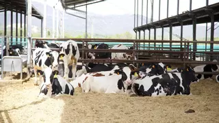 El planeta, la salud y la sociedad: las tres máximas de Danone