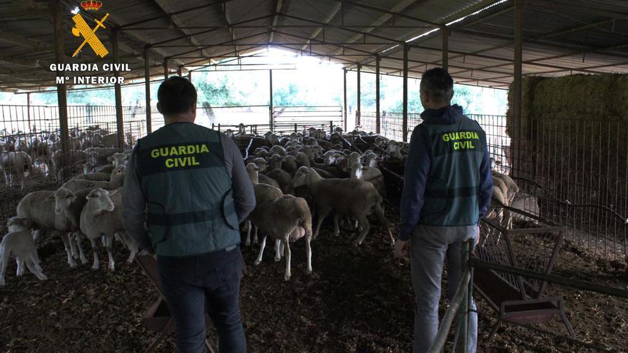 Archivo - La Guardia Civil investiga robos en el campo