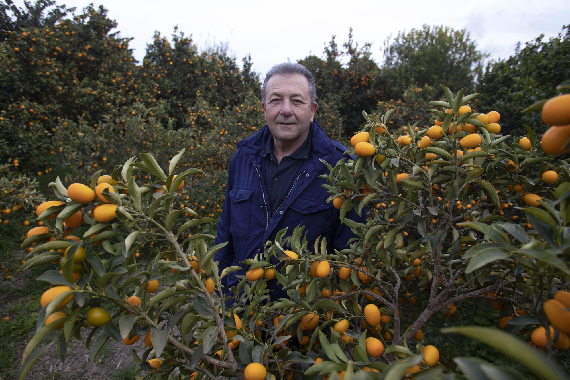 Vicente Todolí en el jardín de las delicias