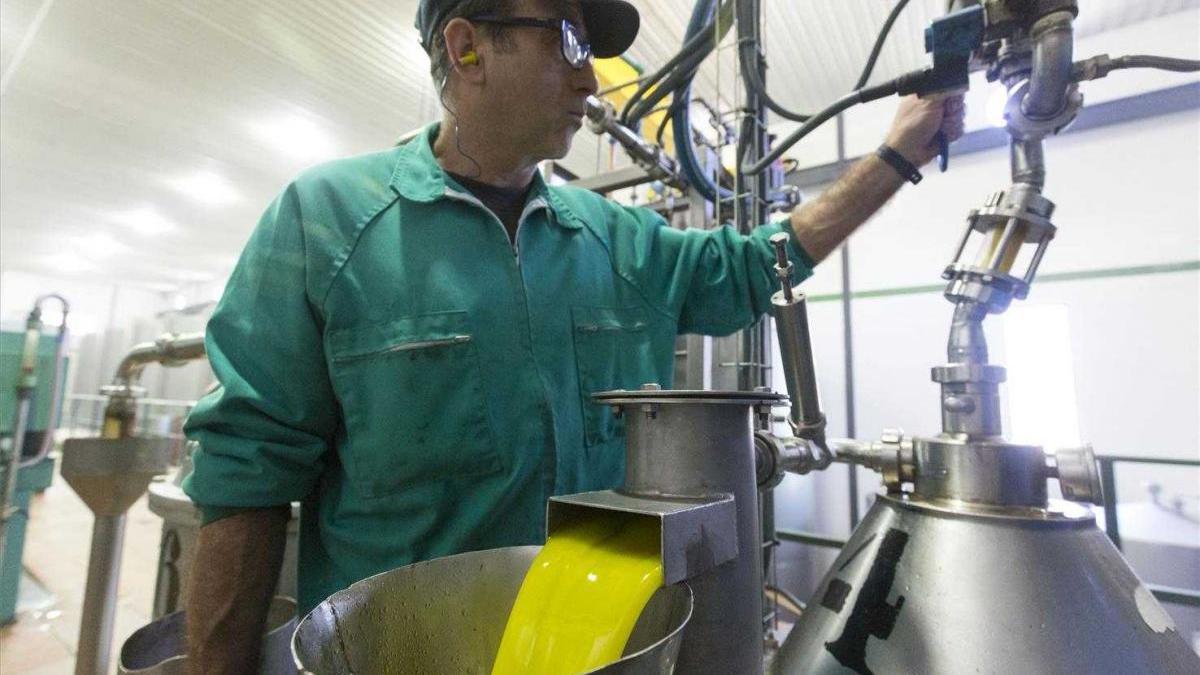 Los aceites de Molino del Genil y Almazaras de la Subbética se coronan en Expoliva