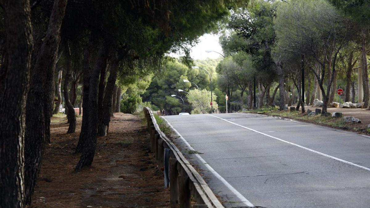 Los agentes encontraron a la chica en el interior de una tubería de hormigón de los Pinares de Venecia.