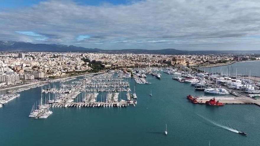Intervienen 1.400 kilos de pollo en el Puerto de Palma por graves deficiencias durante el transporte