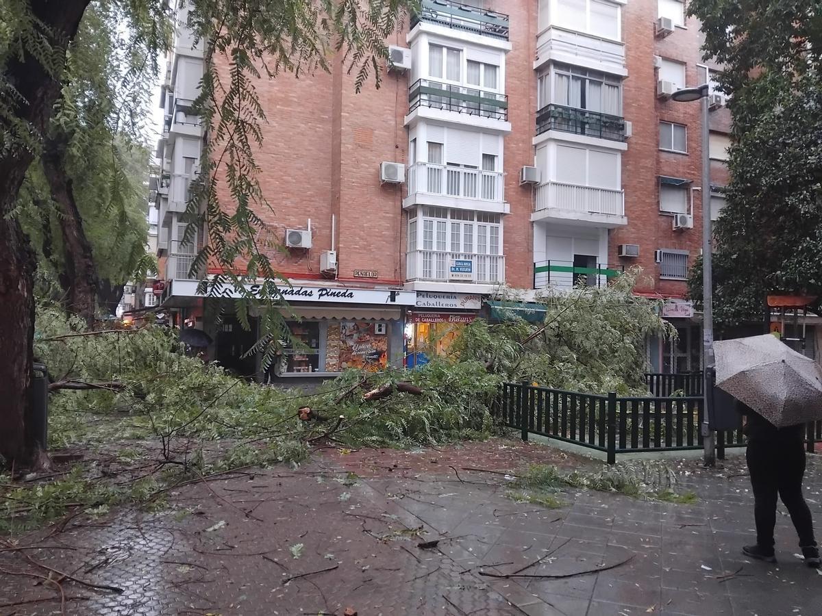 Calle San Jacinto.