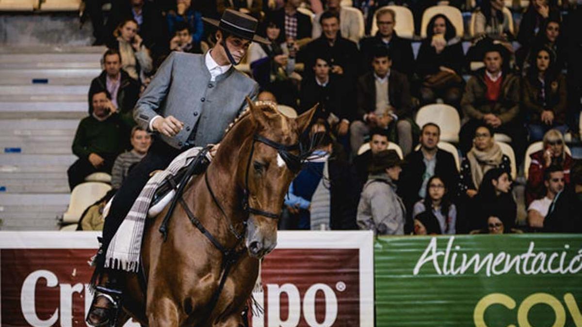 FERIA DEL CABALLO 2024 SEVILLA Lo que debes saber sobre el SICAB 2024 competiciones, stands