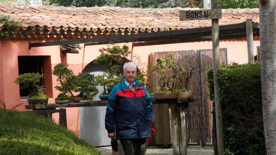 Arriba, la primera exposición de bonsáis, en 1989, bajo el cedro del Líbano. Debajo, Rolf Beyebach en el &quot;Espacio bonsái&quot;, en el Evaristo Valle.