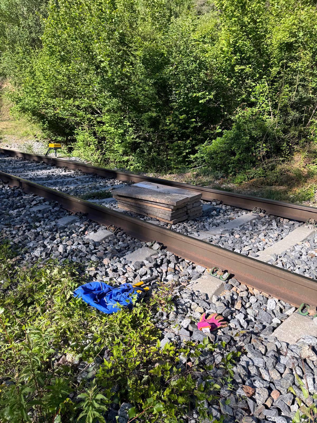 El sabotatge a la catenària al tram entre Ripoll i Ribes de Freser a l'R3 de Rodalies.