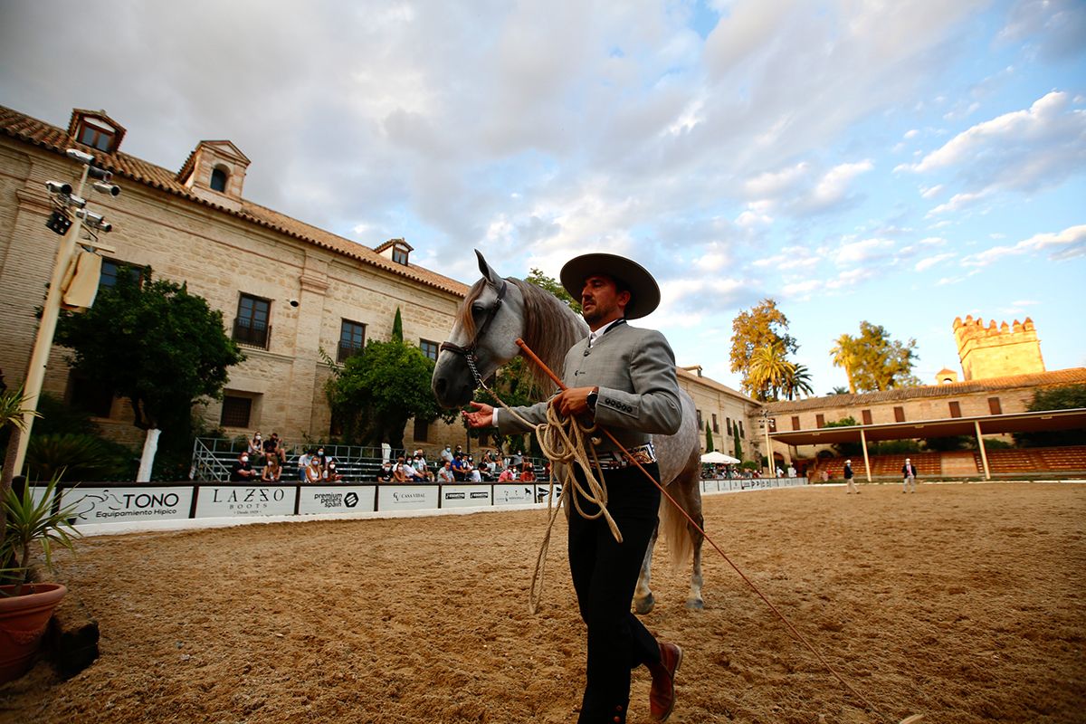 Primera jornada del concurso morfológico en Cabalcor 2021