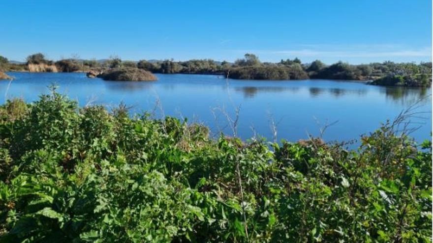 Laguna de Son Navata