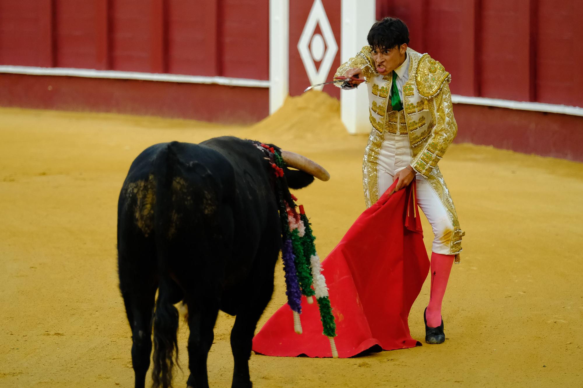 Toros en la Feria I Séptima corrida de abono en la Malagueta