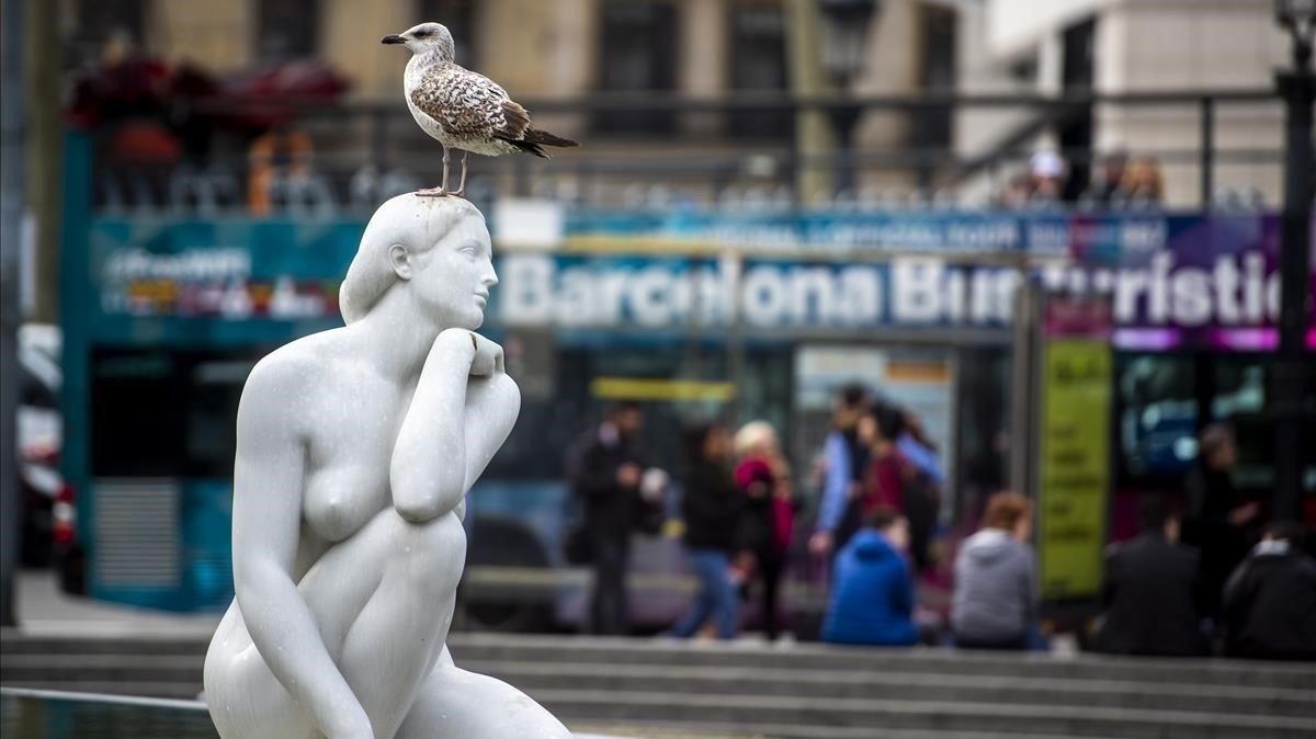 Gaviotas sobre la escultura La diosa en plaza Catalunya, con un bus turístico detrás.