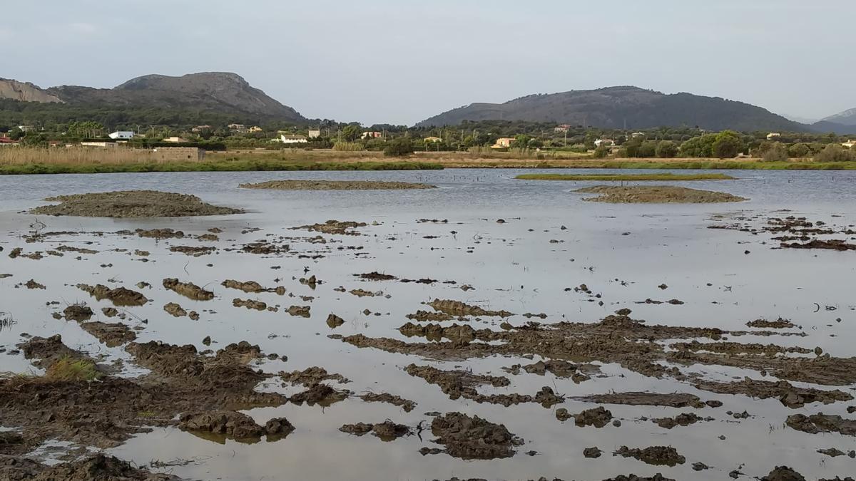 Reserva Natural de s&#039;Albufereta