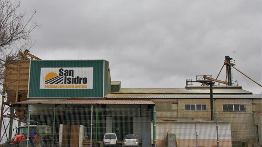 La cooperativa San Isidro aumenta un 60% la producción de aceite