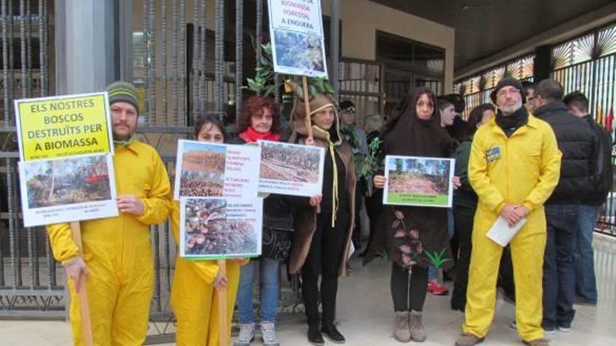 Protesta por la ausencia de control sobre la madera talada en Enguera