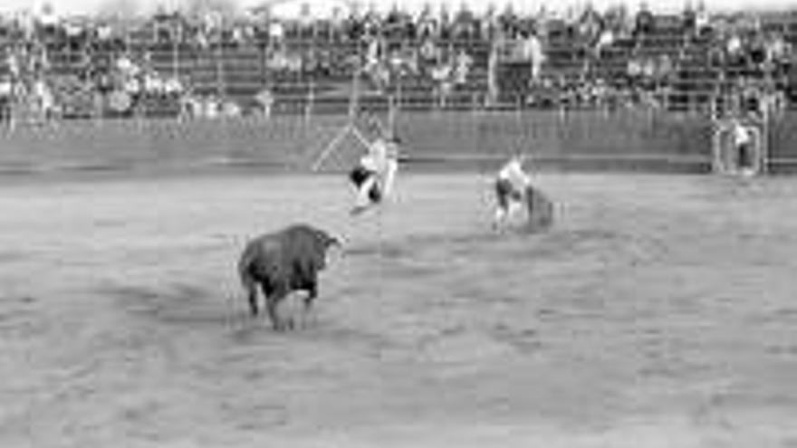 Espectáculo de recortes en las fiestas de Moraleja