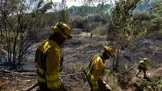 El oeste de Castilla y León y el norte de Burgos, en "riesgo extremo" de incendios forestales