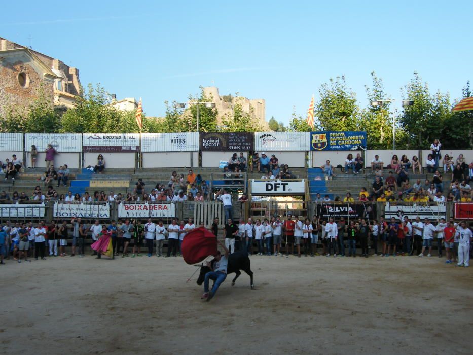 Corre de bou de Cardona (dilluns 12 de setembre)