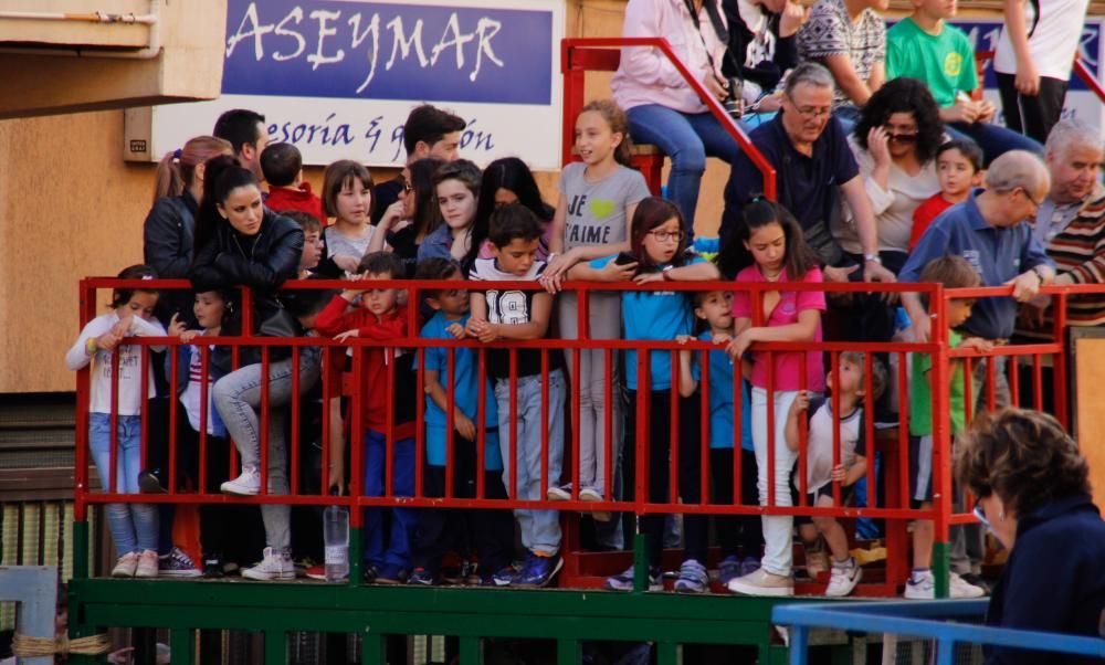 Festes de Sant Pasqual en Vila-real 2016