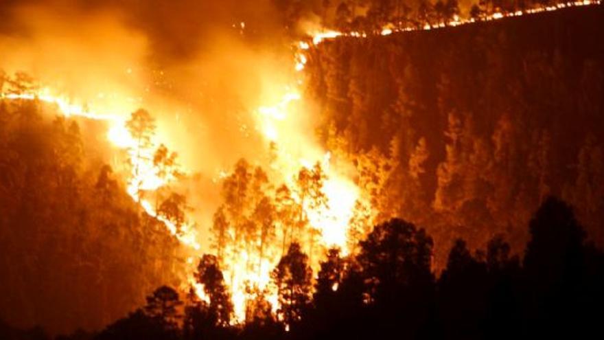 Canarias declara la alerta máxima por riesgo de incendios forestales