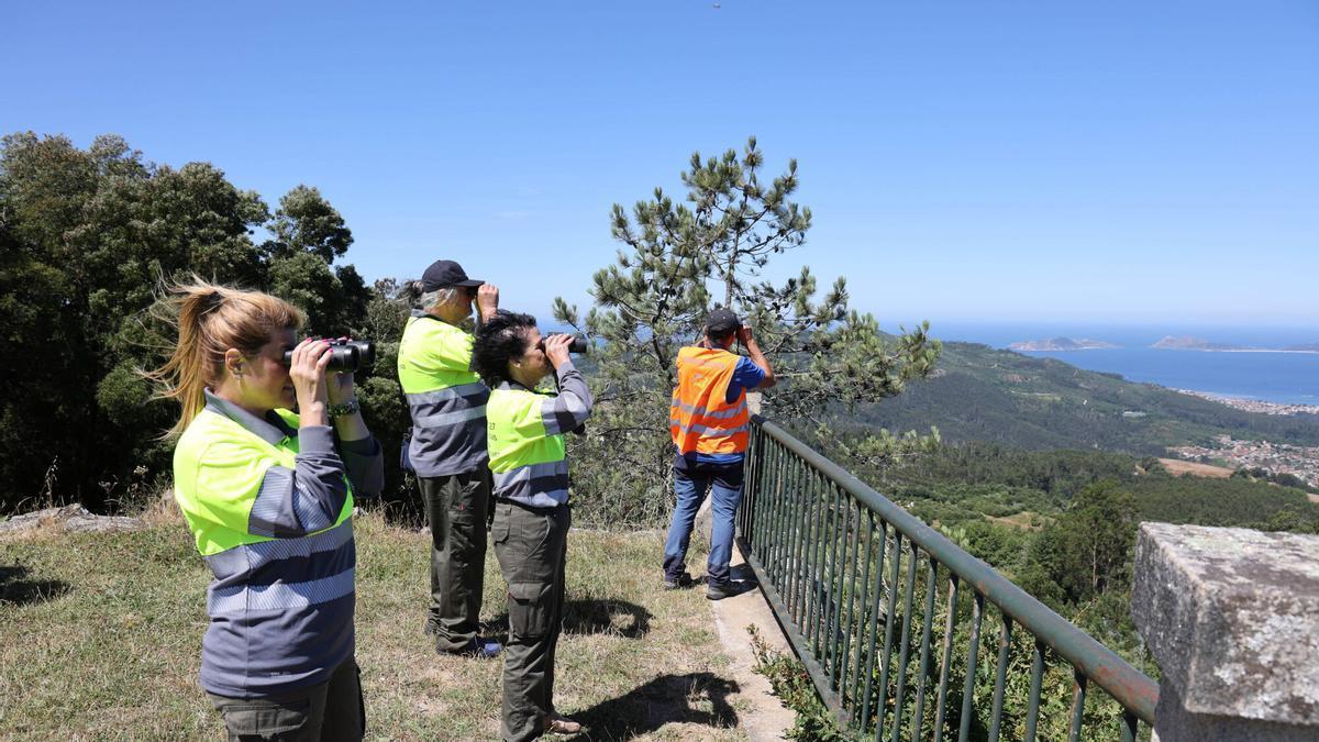 Actividades de prevención de incendios en los montes de Vigo