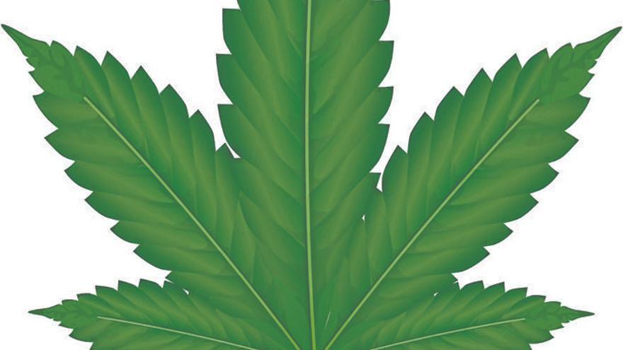 Llega el debate sobre la legalización de la marihuana