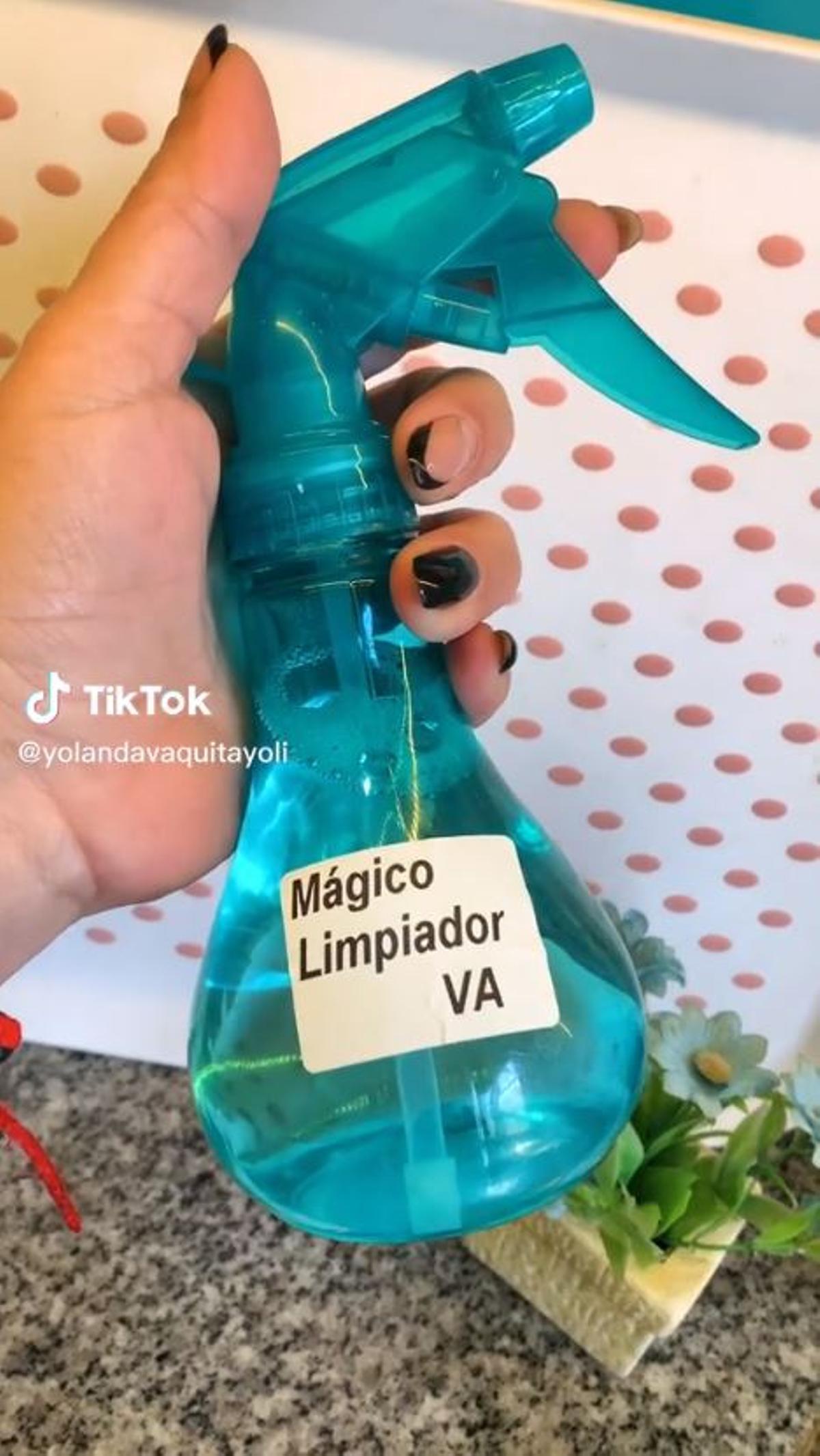 Fragmento de un vídeo de TikTok de @yolandavaquitayoli